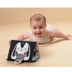 Taf Toy Developmental Toys><noscript><img width=