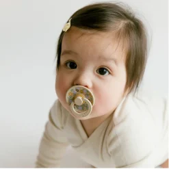 Bibs Pacifier (2) 6-18m - Strawberry (Size 2)