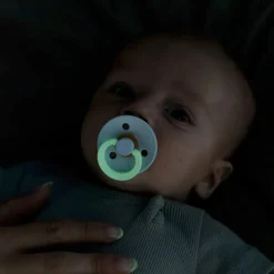 Bibs Pacifier 6-18m (2) - Glow in the Dark Blush/Woodchuck (Size 2)