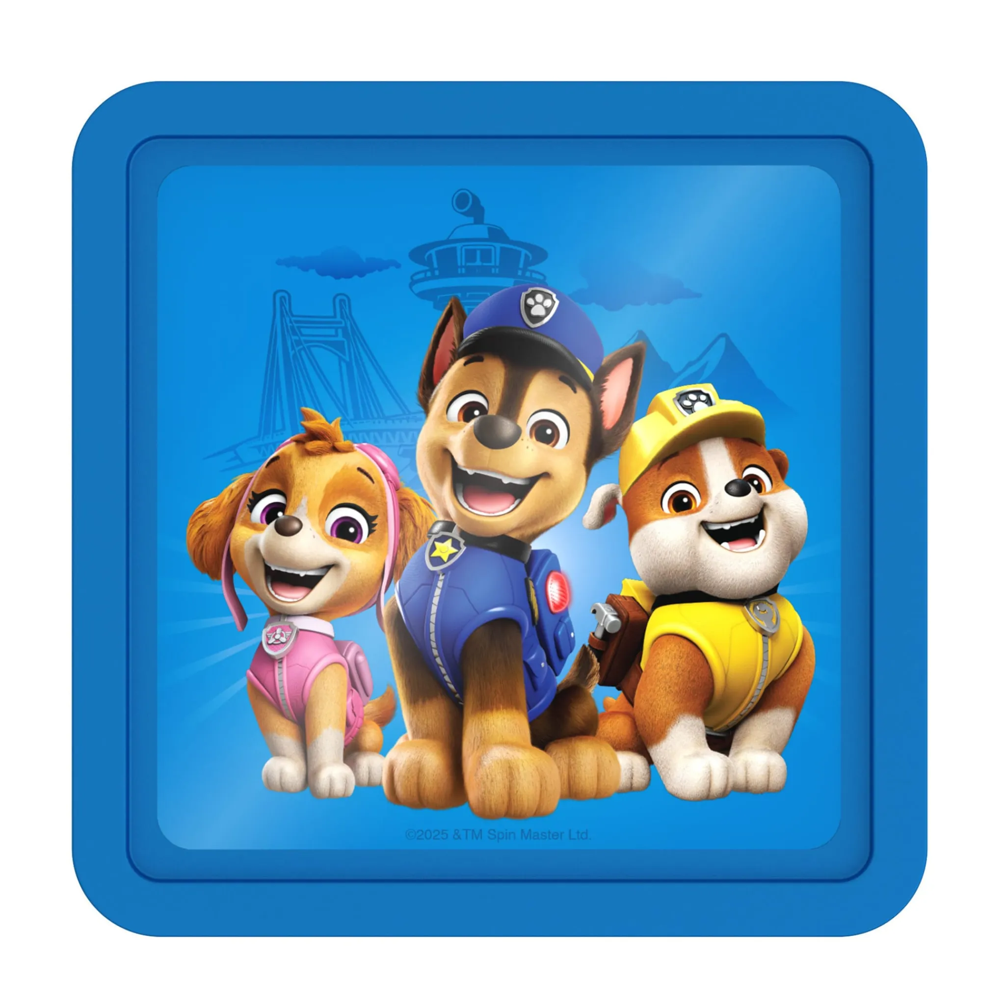 Kids Thermos Paw Patrol-Reusable Hard Ice