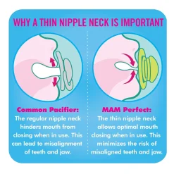 Mam Baby Perfect Pacifiers 6 Months+ (2 pack)