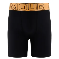 Kids/BOY Under Armour Performance Tech Boxers 8-16