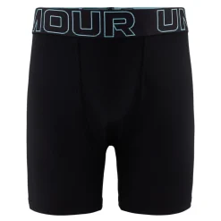 Kids/BOY Under Armour Performance Tech Boxers 8-16