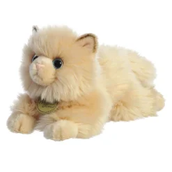 Aurora Persian Cat 8.5