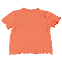 Chat Botte Tops>Picnic T-shirt 3-24m