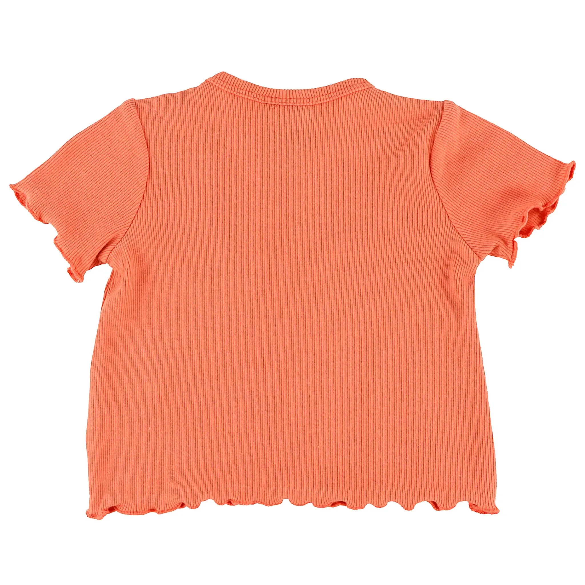 Chat Botte Tops>Picnic T-shirt 3-24m