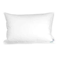 Kids Daniadown Pillow and a pillowcase 16" x 20"