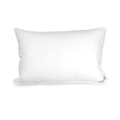 Kids Daniadown Pillows & Pillowcases|Bedding>Pillow and a pillowcase 12" x 16"
