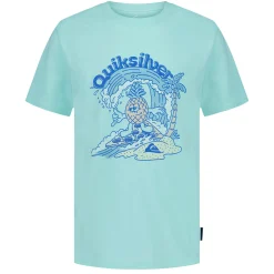 Kids/BOY Quiksilver Pizza Pineapple T-shirt 8-20