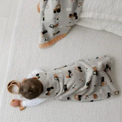 Perlimpinpin Plush Night Bag 0-36 months - Trucks