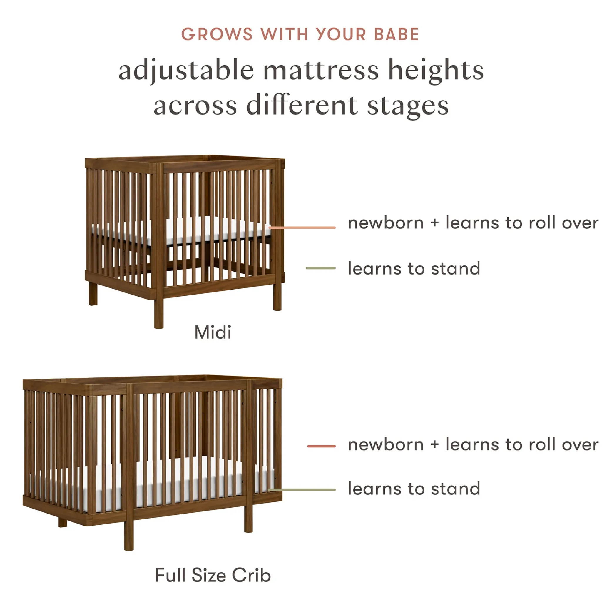 Babyletto Cribs & Mattresses|Cribs & Mattresses>Pogo 8-in-1 Convertible Crib with All-Stages Conversion Kits - Natural Walnut