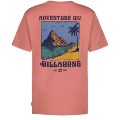 Kids/BOY Billabong Tops>Post Cards T-shirt 8-16