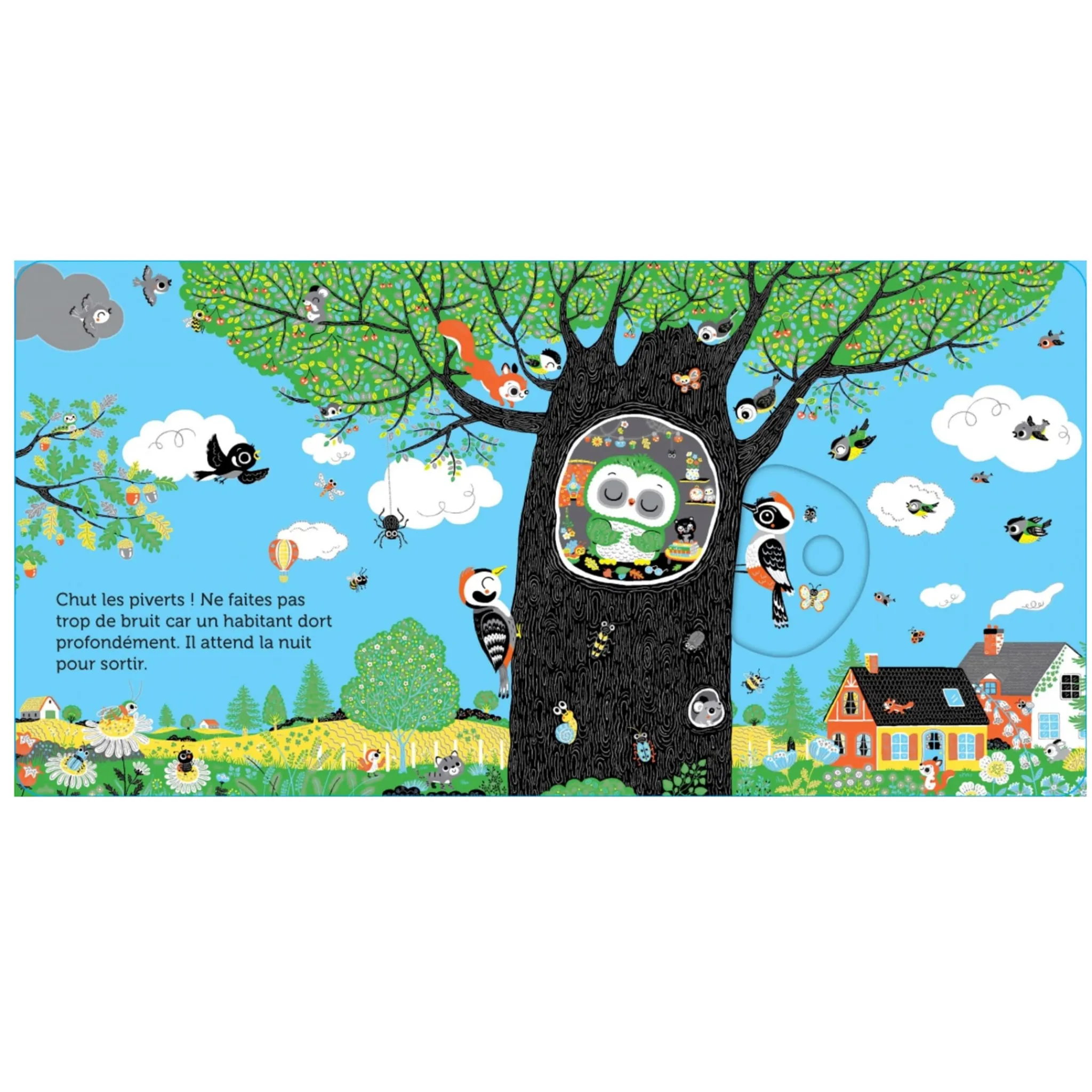Nathan 2 Years And Over|Baby 0-2 Years>Promenade Dans Les Arbres