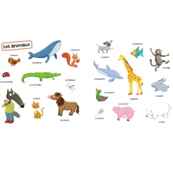 Auzou P'tit Loup 200 Premiers Mots