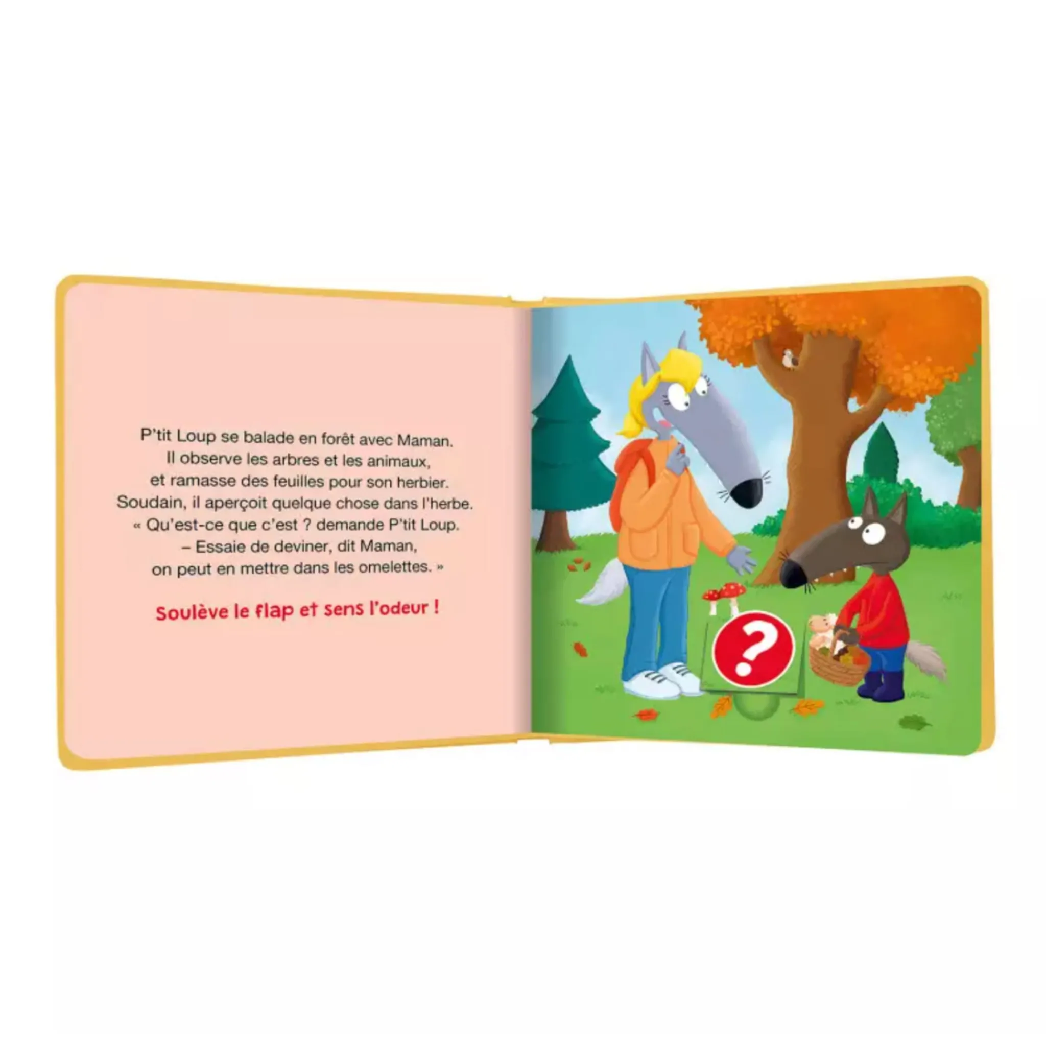Auzou 2 Years And Over|Baby 0-2 Years>P'Tit Loup Le Livre Des Odeurs