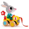 Djeco Pull Along Toy - Roulapic