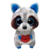 TY Racoon Thief