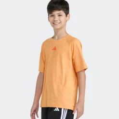 Kids/BOY Adidas Sportswear|Tops>Raglan Melange Tee 8-16y