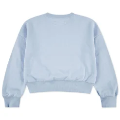 Kids Abercrombie Kids Fleeces And Sweatshirts|Tops>Rose Bouquet Crewneck 5-18