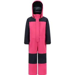 Kids Roxy Solid Snowsuit 4-6x