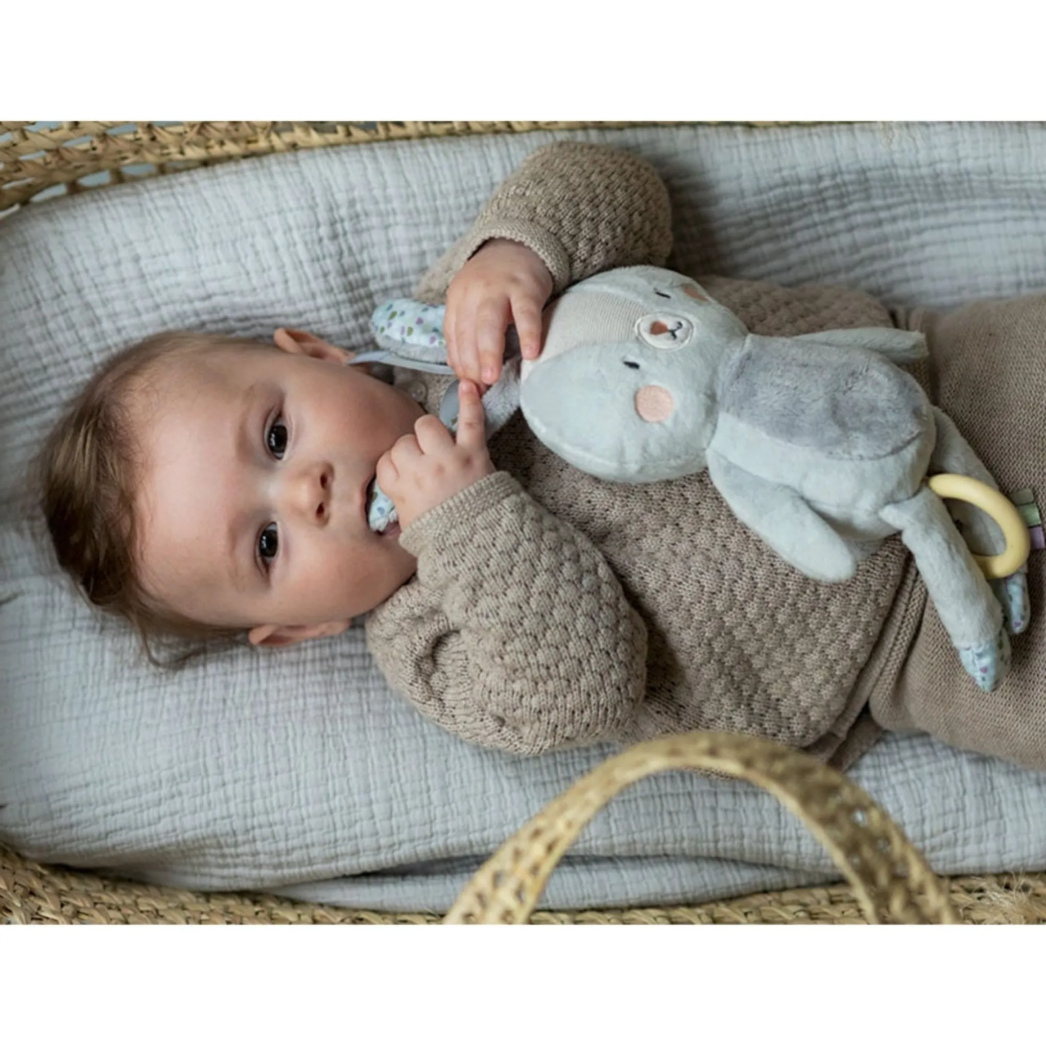 Taf Toy Rylee Musical Bunny