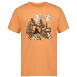 Kids/BOY Under Armour Scenic Trail Tee 8-16