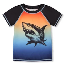 Kids/BOY Deux par Deux Shark Rashguard 7-12