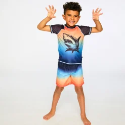 Kids/BOY Deux par Deux Swimsuits>Shark Rashguard 2-6