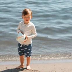 Kids/BOY Petit Lem Shark Swimshorts 2-7y