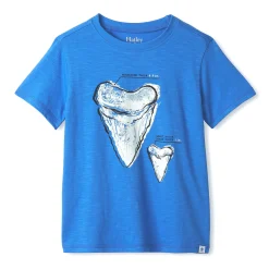 Kids/BOY Hatley Tops>Shark T-Shirt 2-8y