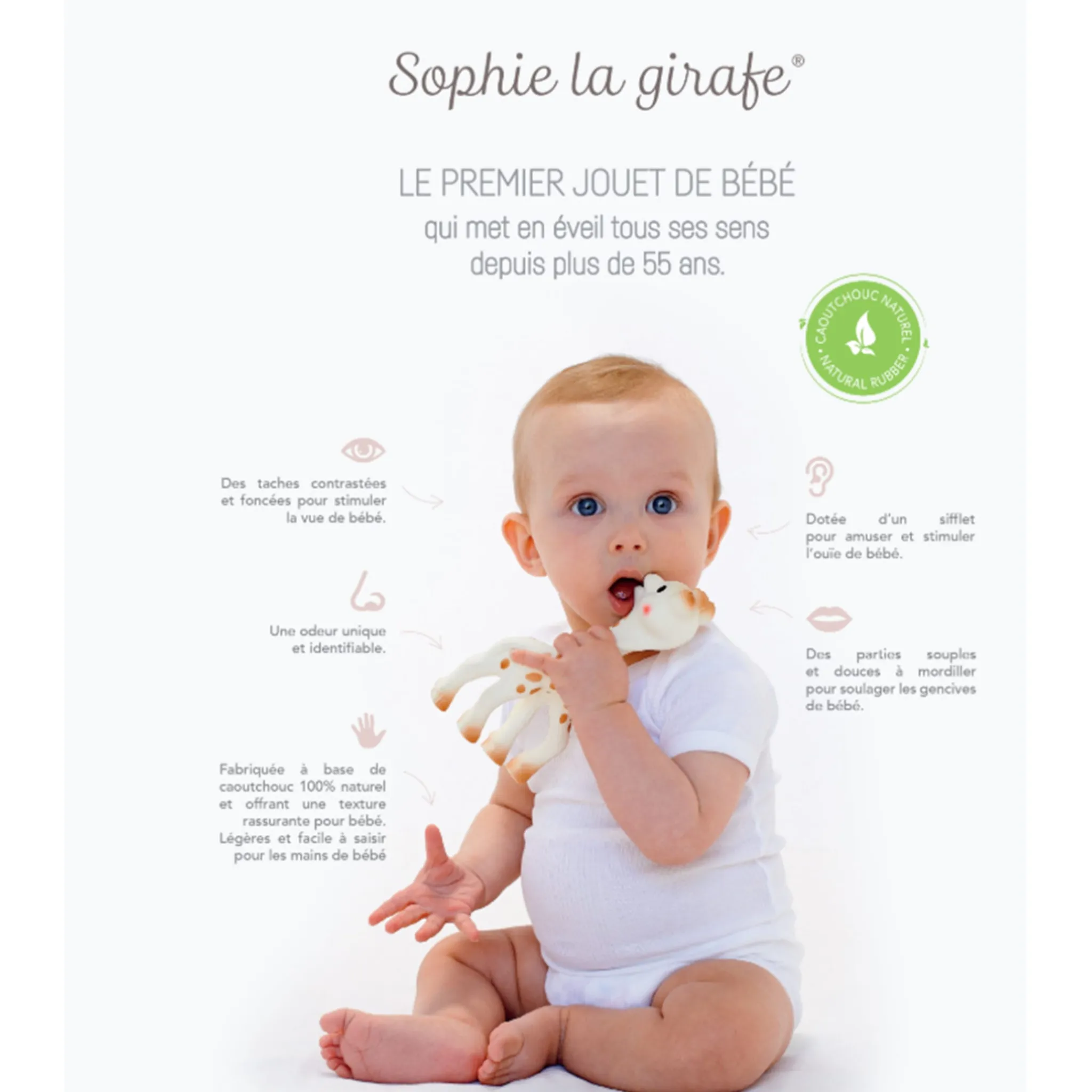 Sophie la girafe