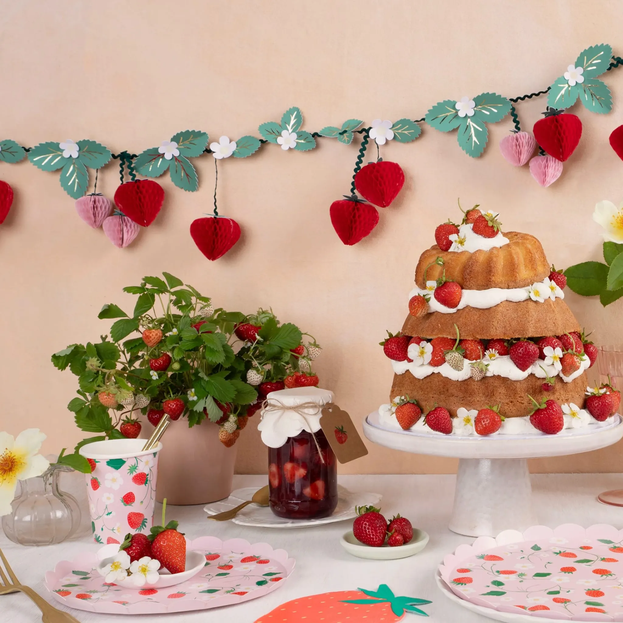 Meri Meri Party Supplies>Strawberry Garland