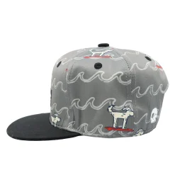 BOY Headster Kids Hats & Caps>Surf Dog Snapback 6-24m