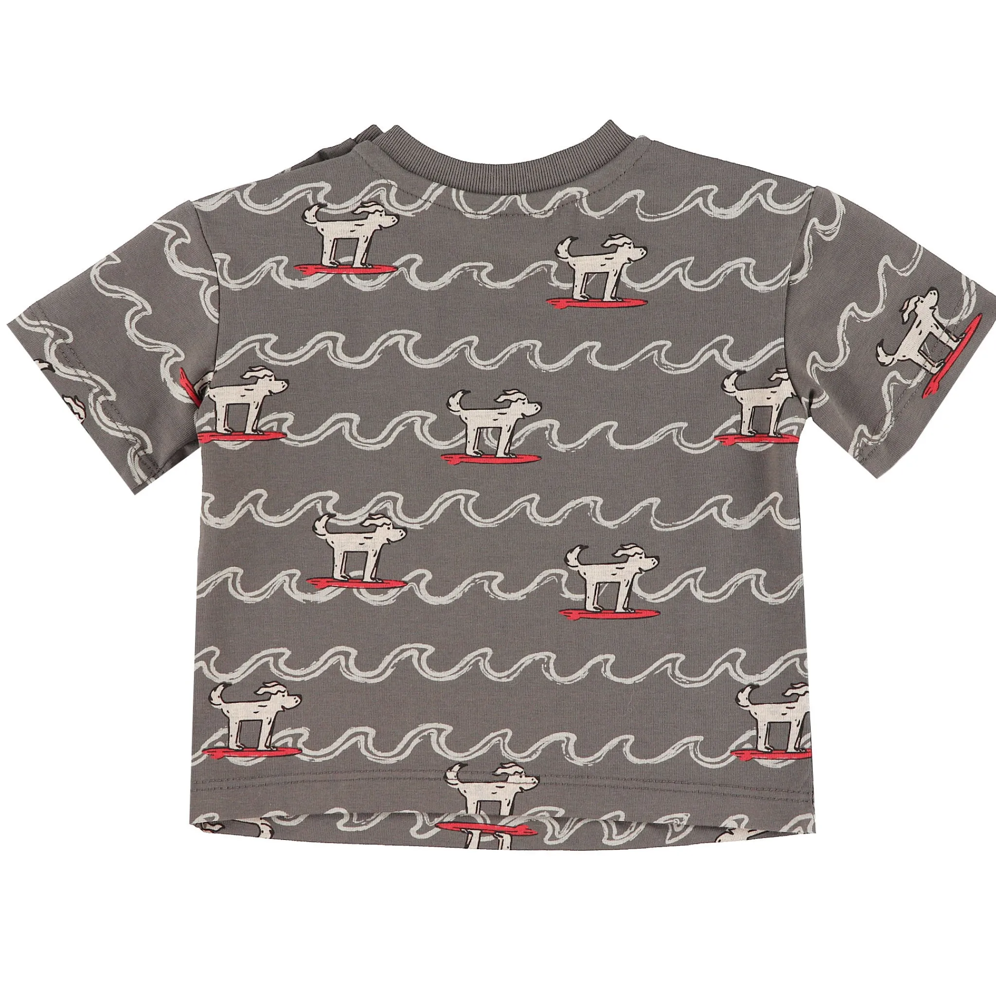 BOY Chat Botte Tops>Surf Dogs T-shirt 3-24m