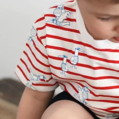 Kids/BOY Chat Botte Surf Seagulls T-shirt 2-10y
