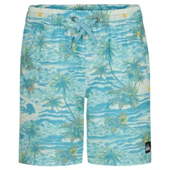Kids/BOY Quiksilver Surfsilk Mix Volley 8-20