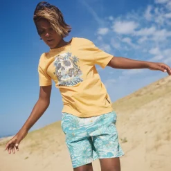 Kids/BOY Quiksilver Surfsilk Mix Volley 8-20