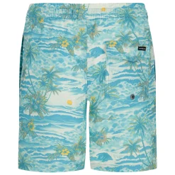 Kids/BOY Quiksilver Surfsilk Mix Volley 8-20