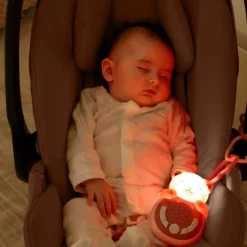 Cloud B Stroller & Car Seat Toys|Developmental Toys>Sweet Dreamz On The Go- Pink Cat