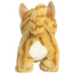 Aurora Tabby Cat 8.5
