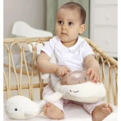 Cloud B Decorative Objects><noscript><img width=
