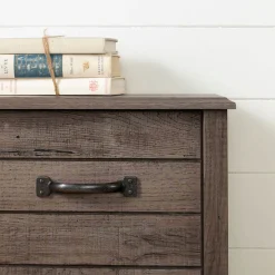 South Shore Twin Bed Bookcase Headboard with Sliding Doors Asten - Fall Oak