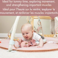 Tiny Love Developmental Toys|Play Mat>Unicorn Developmental Gymini