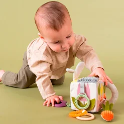 Taf Toy Urban Garden Activity Cube