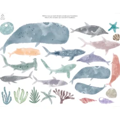 Clement - Impressions Wall Stickers - Sea