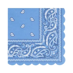 Meri Meri Western Small Napkins (16)