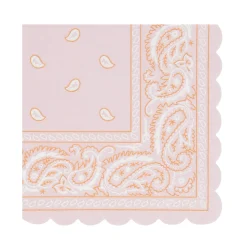 Meri Meri Western Small Napkins (16)