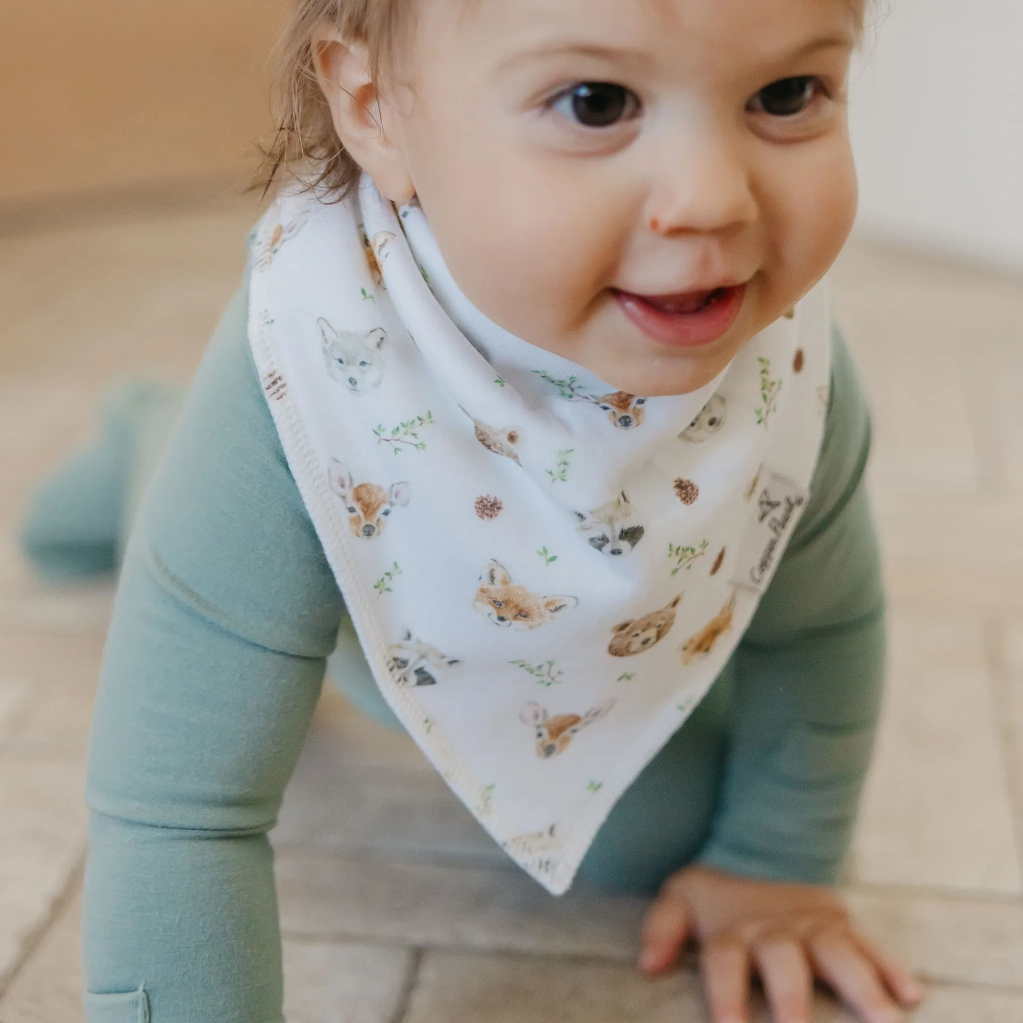Copper Pearl Wilder Bandana Bibs (4)