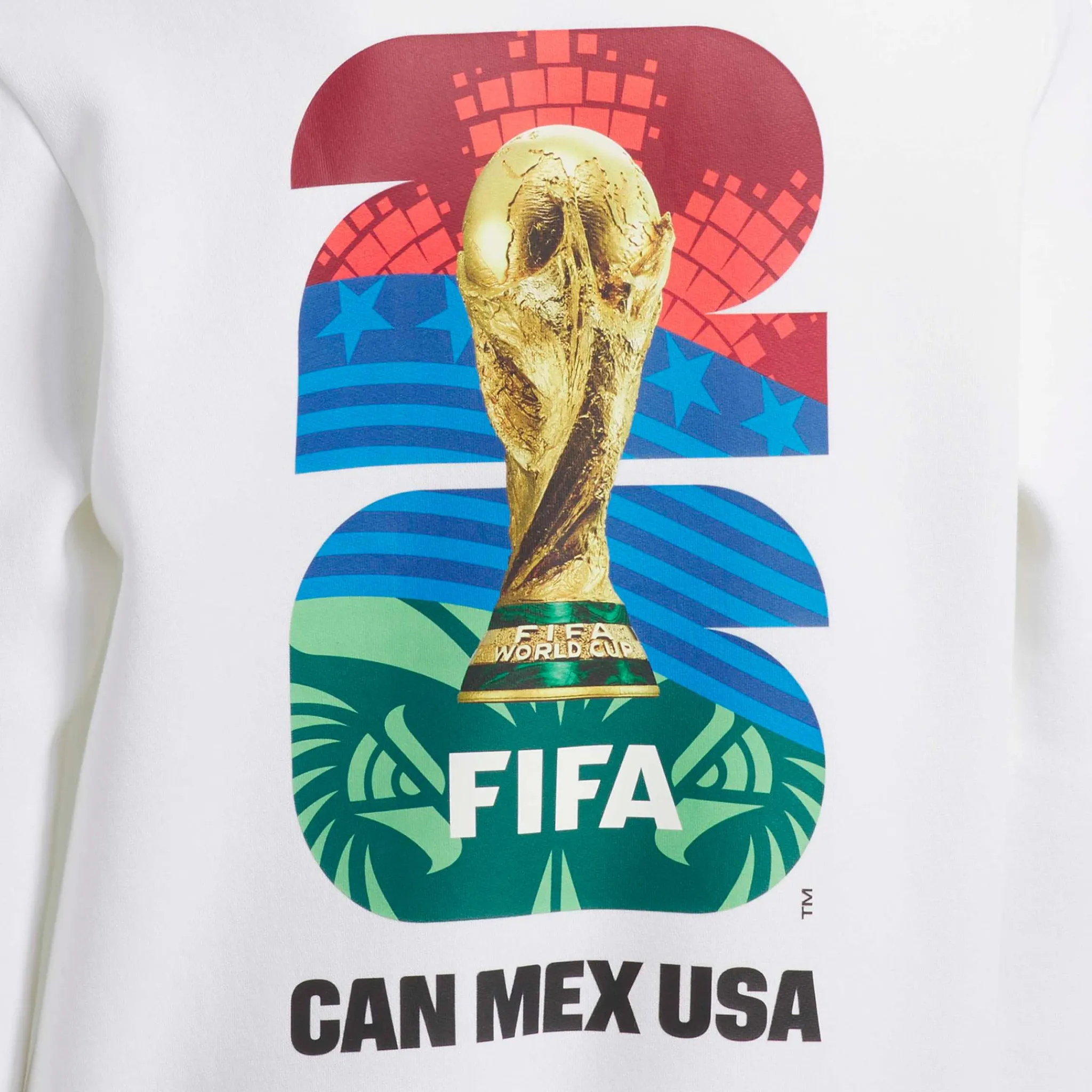 Kids/BOY Adidas World Cup Hoodie 8-16y